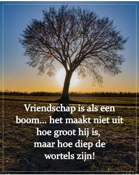 Vriendschap